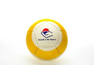 Ball Volley liten